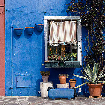 盆栽,蓝色背景,涂绘,威尼斯,建筑外观