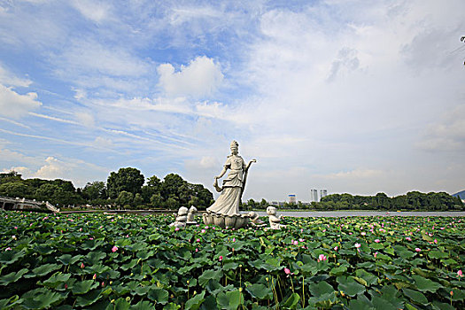 南京玄武湖