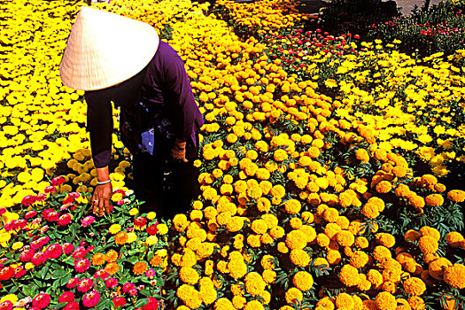 美女,女人,帽子,彩色,花,越南,湄公河三角洲