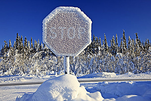 瑞典,拉普兰,冬季风景,路标,雪,冰