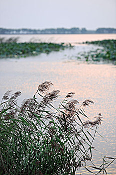 卧龙湖