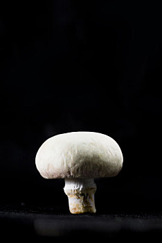 一个蘑菇孤立在黑色背景上