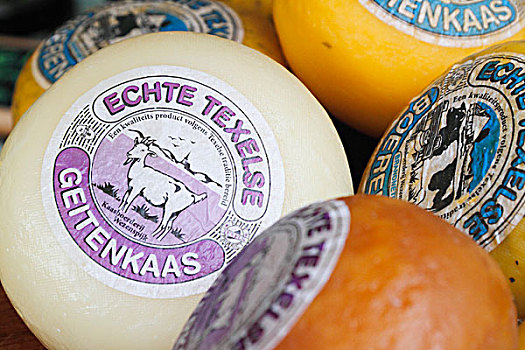 特色,山羊,奶酪,特塞尔,北荷兰,荷兰,欧洲