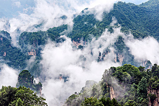 湖南,张家界,峰林,云雾