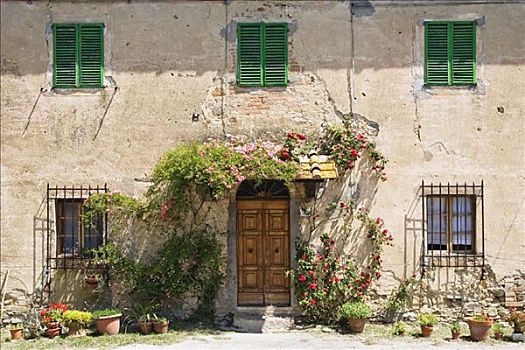 花盆,蔓藤,户外,建筑,托斯卡纳,意大利