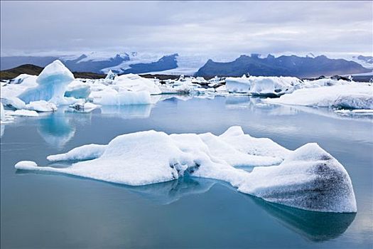 冰,漂浮,杰古沙龙湖,冰岛