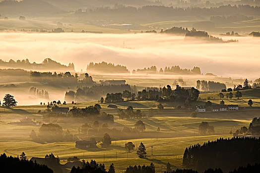 晨雾,上方,山谷,风景,靠近,上巴伐利亚,巴伐利亚,德国,欧洲