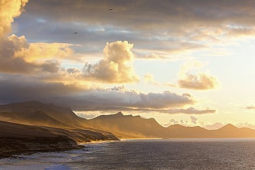 海岸,哥斯达黎加,日落,富埃特文图拉岛,西班牙