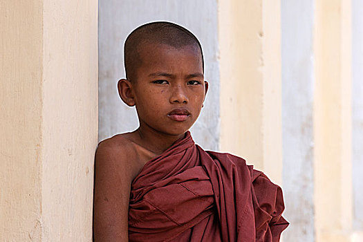 孩子,僧侣,新信徒,头像,瑞喜宫塔,曼德勒省,蒲甘,缅甸,亚洲
