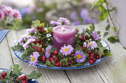 紫苑属,山楂,花环