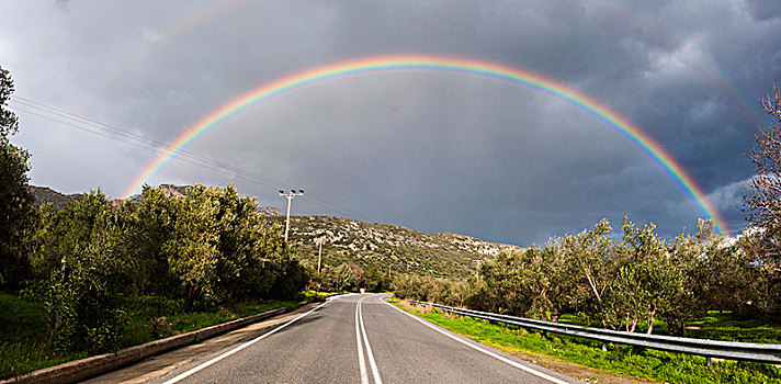 橄榄林,高原,彩虹,克里特岛,希腊