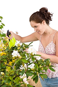 园艺,女人,泼洒,水,杜鹃花属植物,花