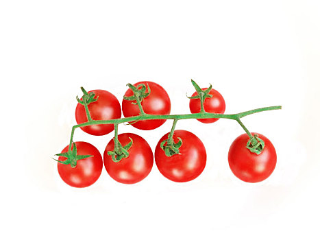 西红柿,隔绝,白色
