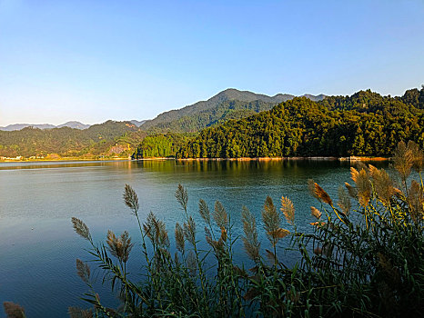 千岛湖,绿水青山