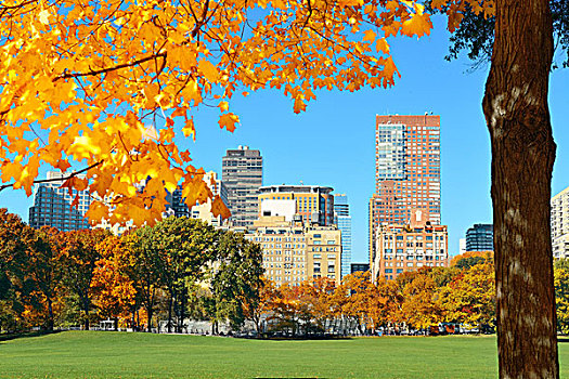曼哈顿,市中心,天际线,中央公园,秋天,纽约