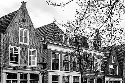 黑白,插画,建筑,阿克马镇,荷兰