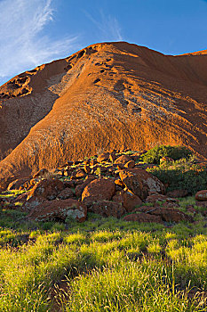 艾尔斯岩,茂密,绿色,植被,重,雨,乌卢鲁卡塔曲塔国家公园,北领地州,澳大利亚