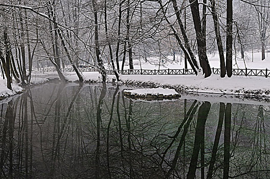 早,冬天,白天,河,湖