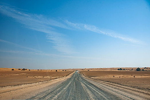 迪拜沙漠保护景区公路