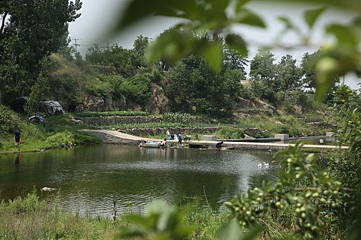 山东省日照市,农村小河干净清澈,市民带着渔网捕鱼收获满满