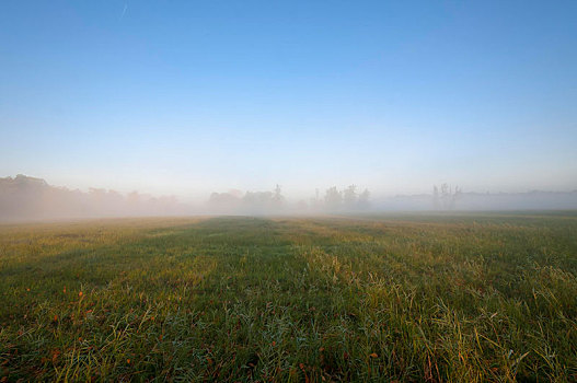 晨雾,上方,地点,秋天,自然保护区,黑森州,德国,欧洲