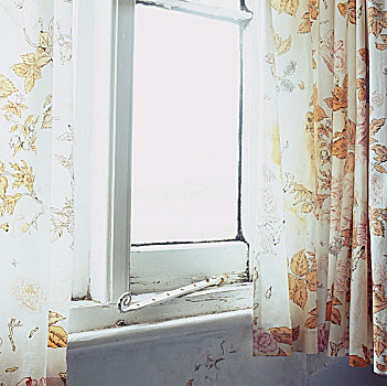 老,窗户,劈开,涂绘,抓住,白色,帘,橙色,叶子,图案,房子,多西特