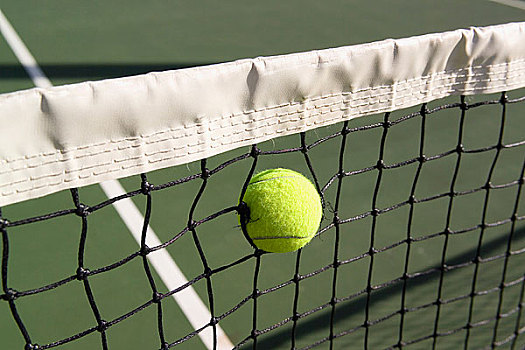 网球,困住,网球网