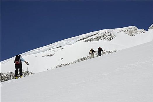 越野滑雪者,向上,山,奥地利,阿尔卑斯山