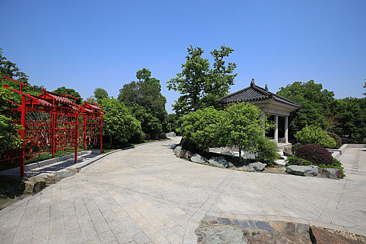 南京银杏湖风景