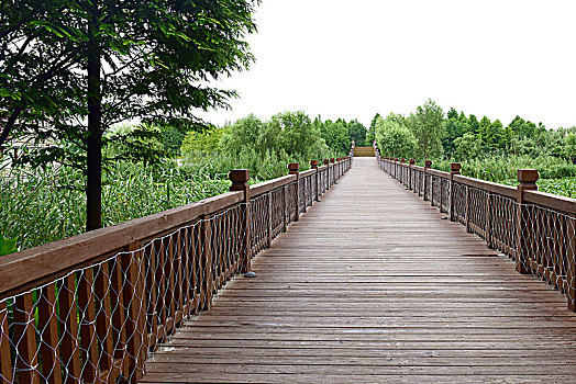 湿地木桥