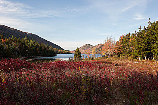 平和,水塘,山,阿卡迪亚国家公园,缅因,美国