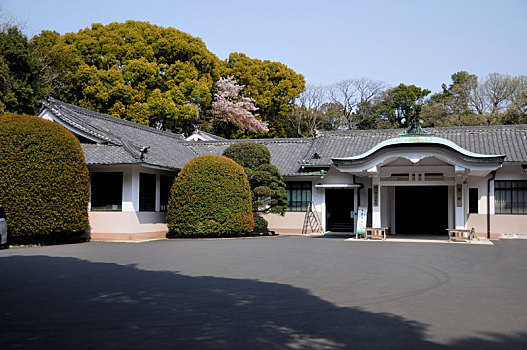 日本东京明治神宫