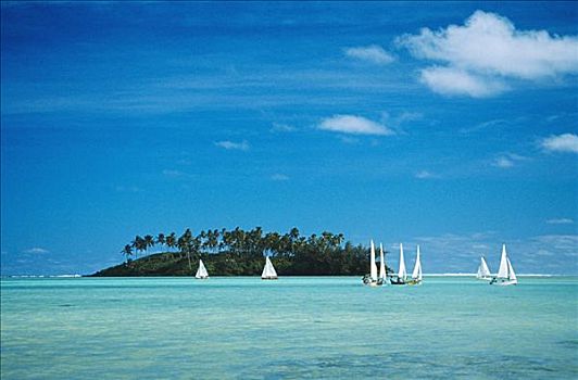 库克群岛,拉罗汤加岛,帆船,青绿色,海洋,靠近,环礁