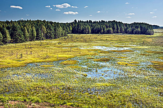 湿地,立陶宛,欧洲