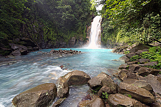 瀑布,国家公园,哥斯达黎加,中美洲