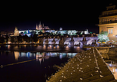 夜景,布拉格城堡,伏尔塔瓦河,查理大桥,布拉格,波希米亚,捷克共和国