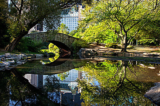 石桥,上方,中央公园,反射,纽约,美国