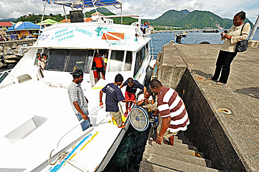 dominica,roseau,handicapped,boy,in,a,wheelchair,embarking,for,whales,and,dolphin,tour,part,of,the,unicef,-,environmental,network,whalewat