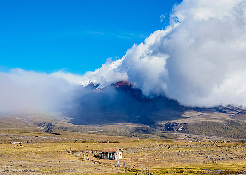 火山,隐藏,云,国家公园,省,厄瓜多尔,南美