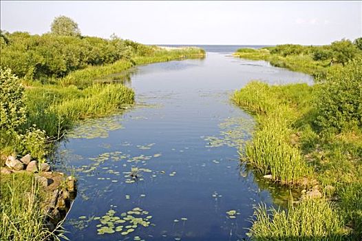 河口,爱沙尼亚,波罗的海国家