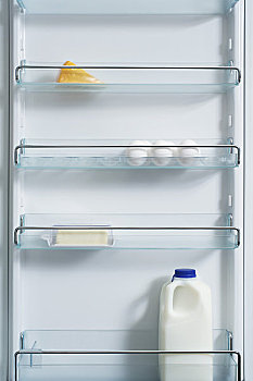 电冰箱,乳制品