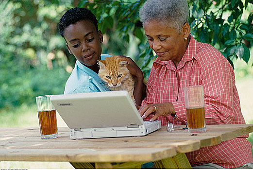 祖母,孙子,猫,笔记本电脑,户外