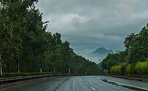 路面,道路,公路,景色,路,水泥路,柏油路,树,黄昏,夕阳,风光,风景