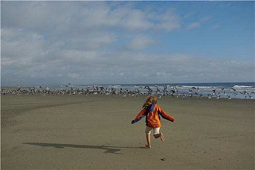 女孩,跑,海鸥,太平洋海岸,华盛顿