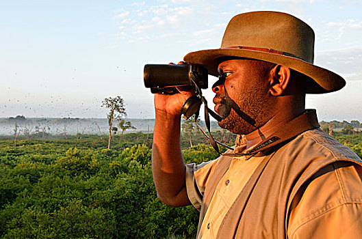 男人,看穿,双筒望远镜,国家公园,赞比亚,非洲