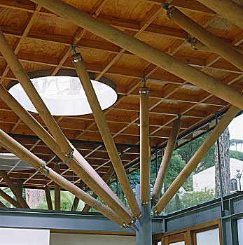 特写,支承结构,钢铁,木质,天花板