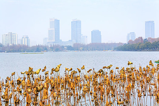 南京玄武湖湖畔建筑风光
