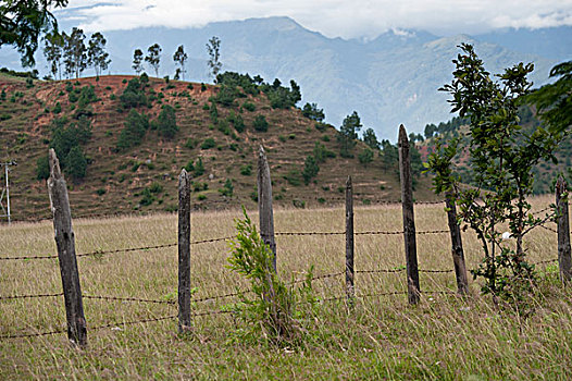 围栏,地点,普那卡,地区,不丹