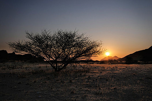 傍晚,大草原,风景,山,自然保护区,纳米比亚,非洲
