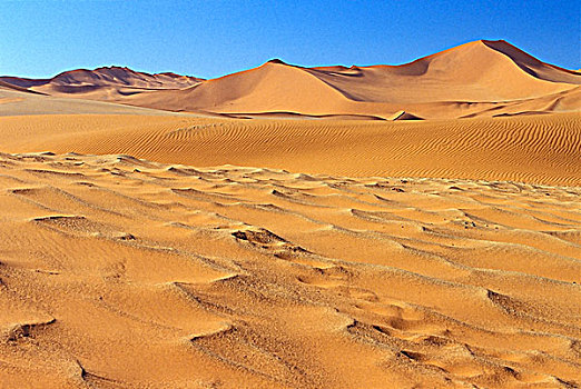 沙丘,纳米比诺克陆夫国家公园,纳米布沙漠,索苏维来地区,纳米比亚,非洲
